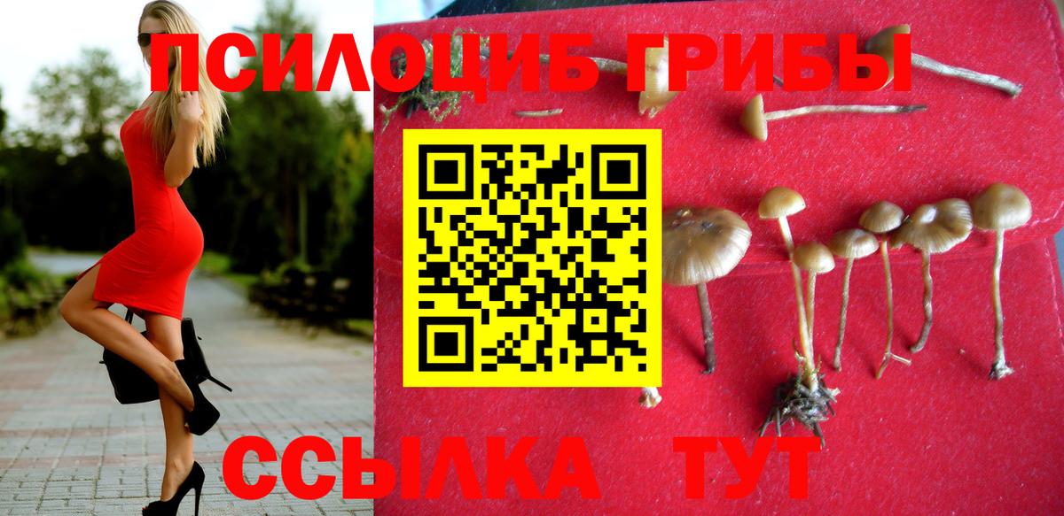 Домодедово  Псилоцибиновые грибы Cubensis  Вход с VPN  Галлюциногенные грибы MAGIC MUSHROOMS 