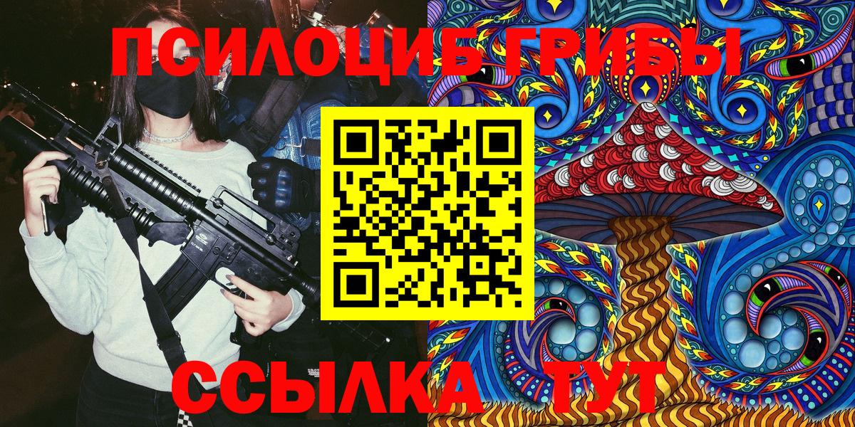 Псилоцибиновые грибы Psilocybe Домодедово